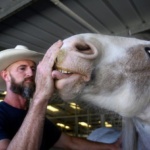 Decorated Combat Marine Veteran Sheds Pain with Horse Power