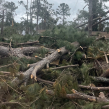 Damage in S. GA.